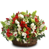 Destellos de Amor - Regalar Rosas, Regalar tulipanes, regalar flores,regalar arreglos florales, regalar regalos